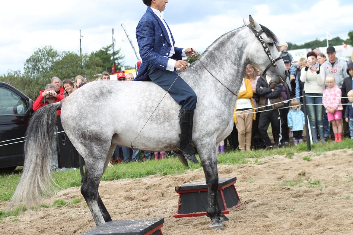 Ørbæk Marked The Schumanns billede 59