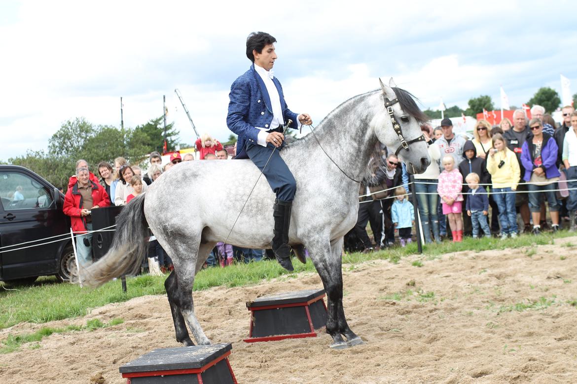 Ørbæk Marked The Schumanns billede 61