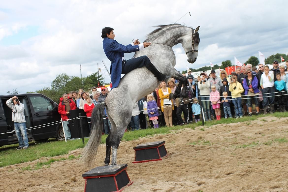 Ørbæk Marked The Schumanns - Det er meningen :p Virkelig sejt trick! Og jeg fangede det lige! :D billede 62