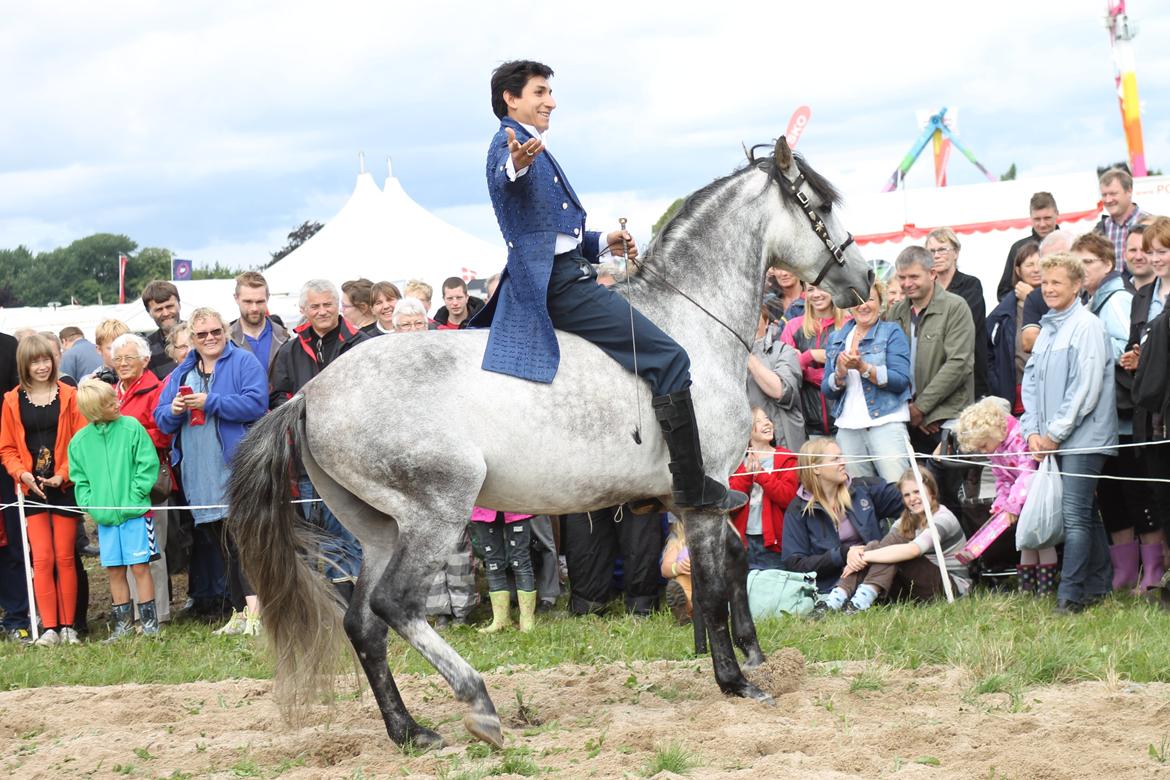 Ørbæk Marked The Schumanns billede 63