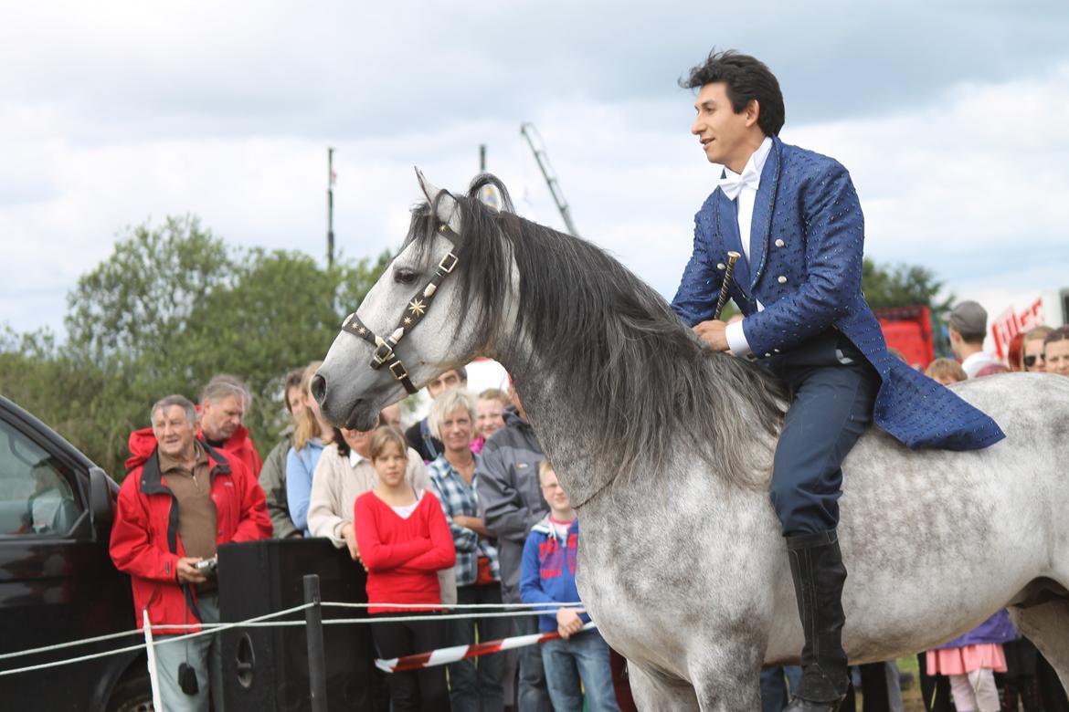 Ørbæk Marked The Schumanns billede 64