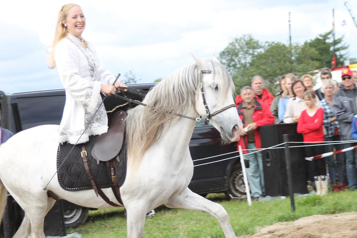 Ørbæk Marked The Schumanns billede 65