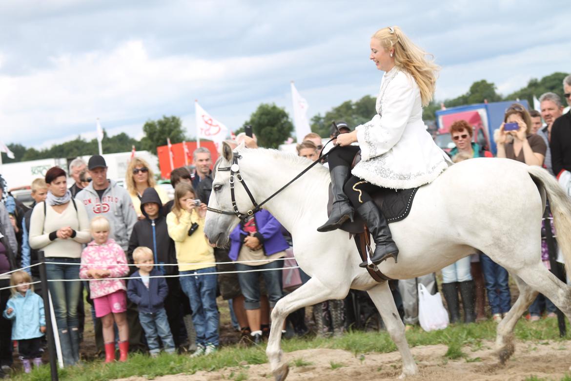 Ørbæk Marked The Schumanns billede 66