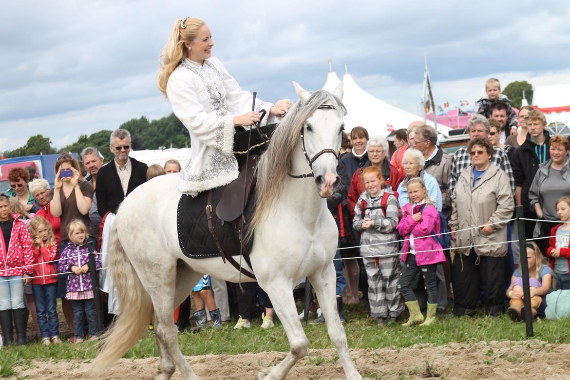 Ørbæk Marked The Schumanns billede 71