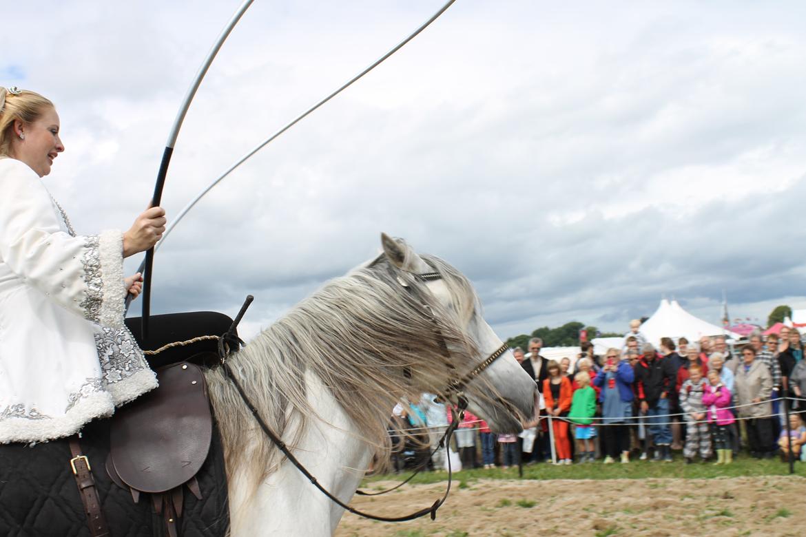 Ørbæk Marked The Schumanns - Laura sjipper med hesten Ö billede 72