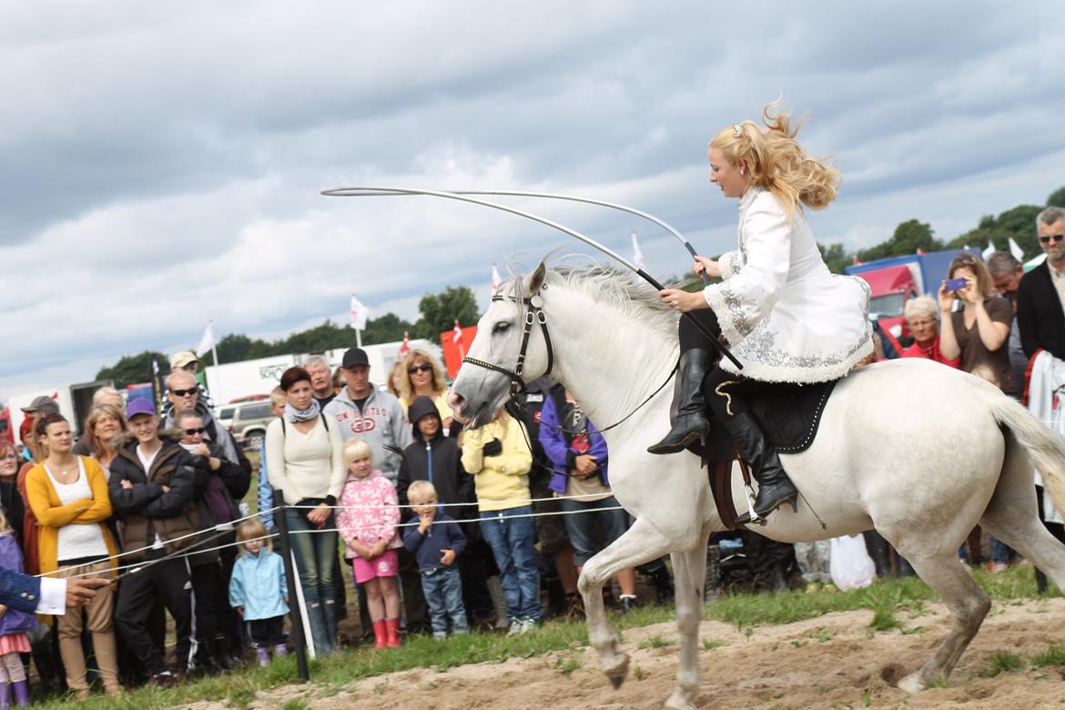 Ørbæk Marked The Schumanns billede 73