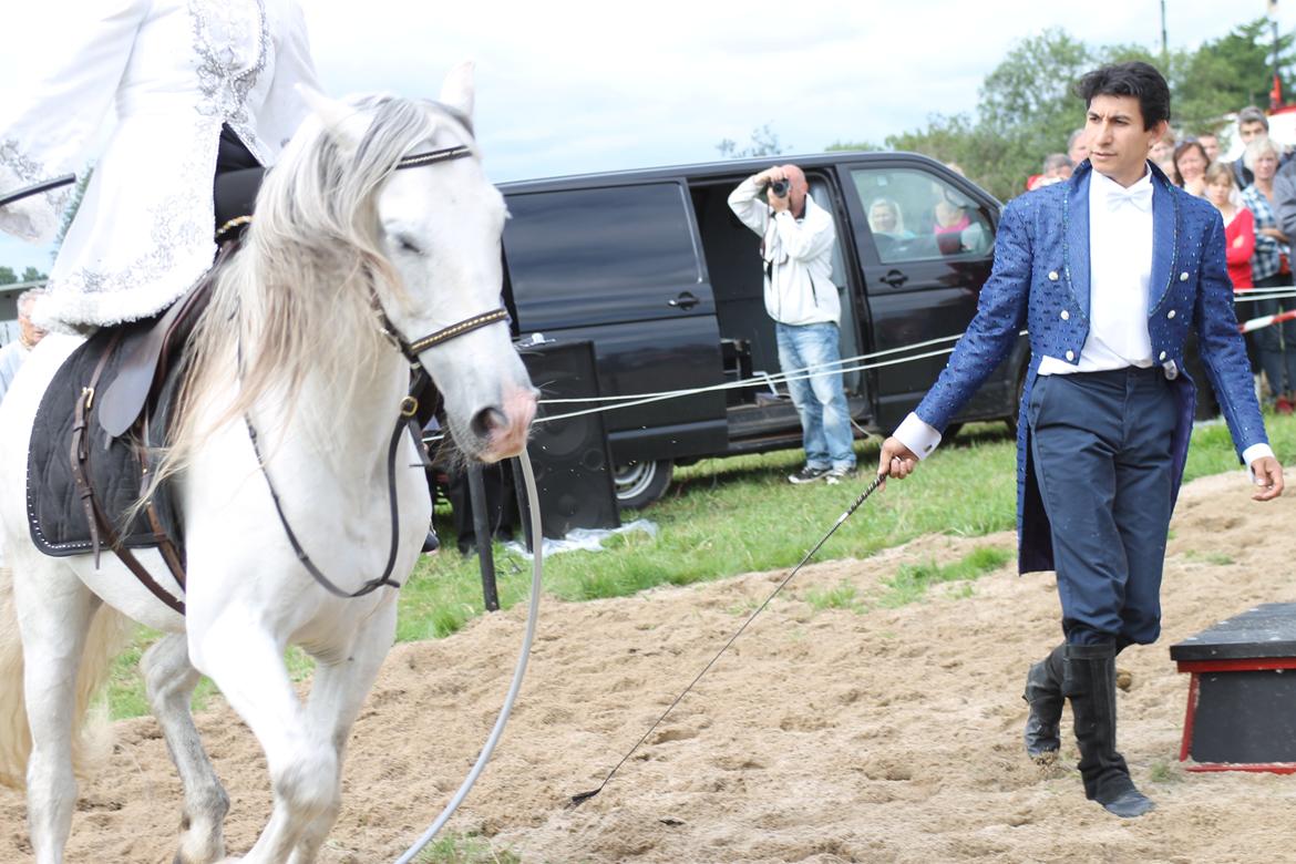 Ørbæk Marked The Schumanns billede 74