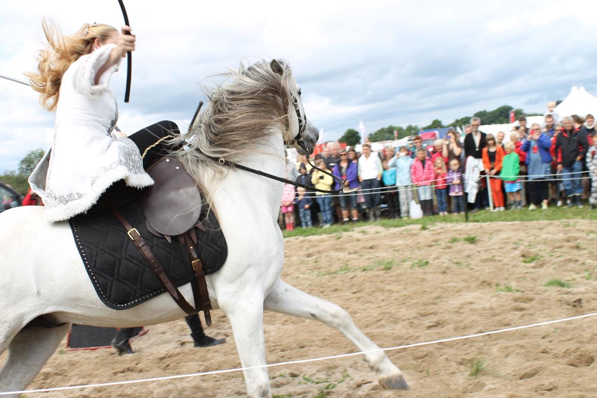 Ørbæk Marked The Schumanns billede 75