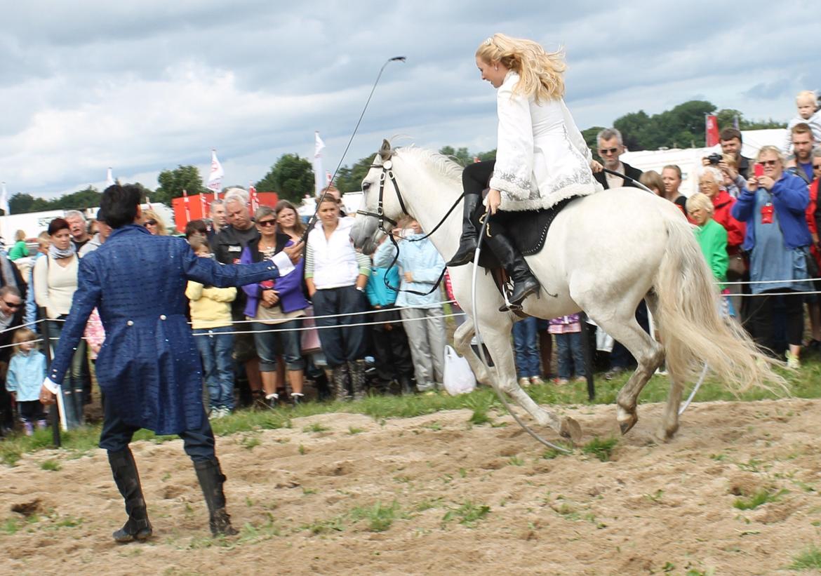 Ørbæk Marked The Schumanns billede 76