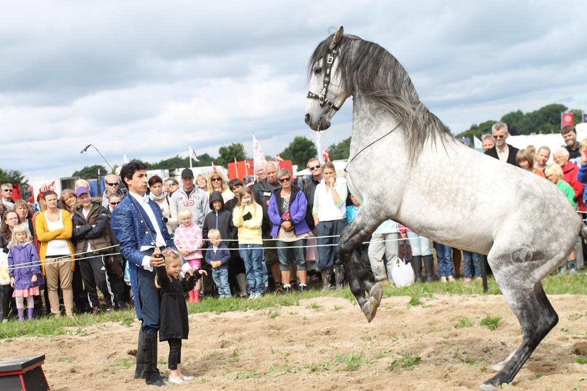Ørbæk Marked The Schumanns - Og deres lille datter kan også være med! :D billede 79