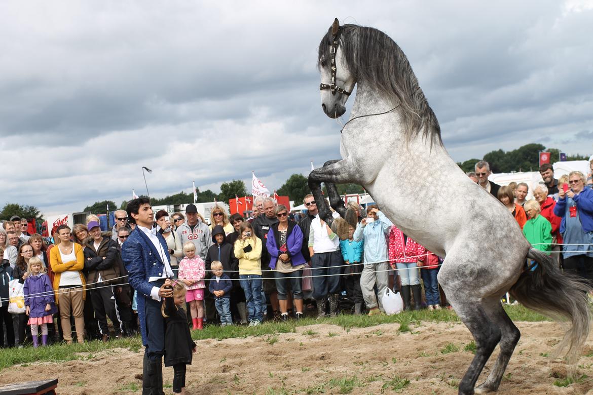 Ørbæk Marked The Schumanns billede 80