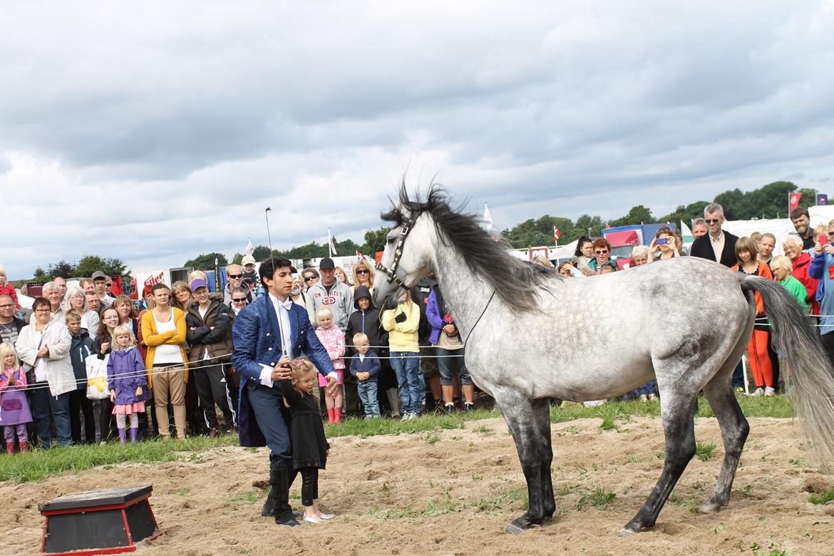 Ørbæk Marked The Schumanns billede 81