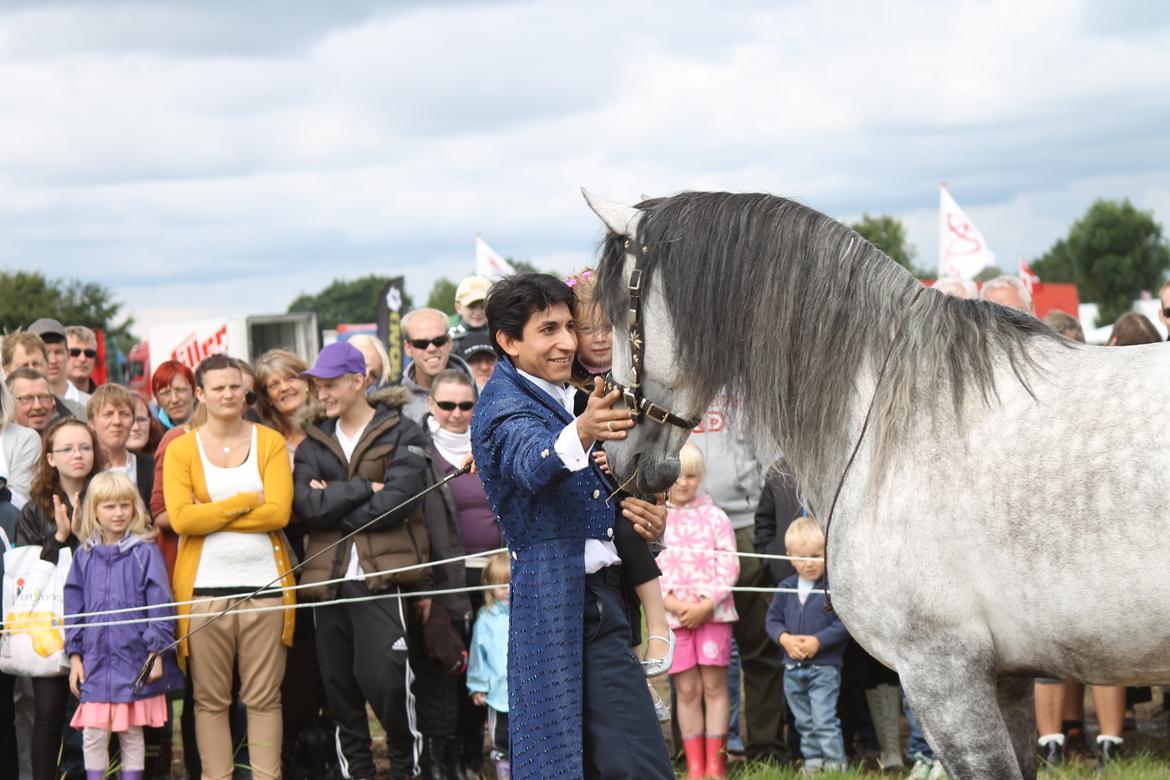 Ørbæk Marked The Schumanns billede 82