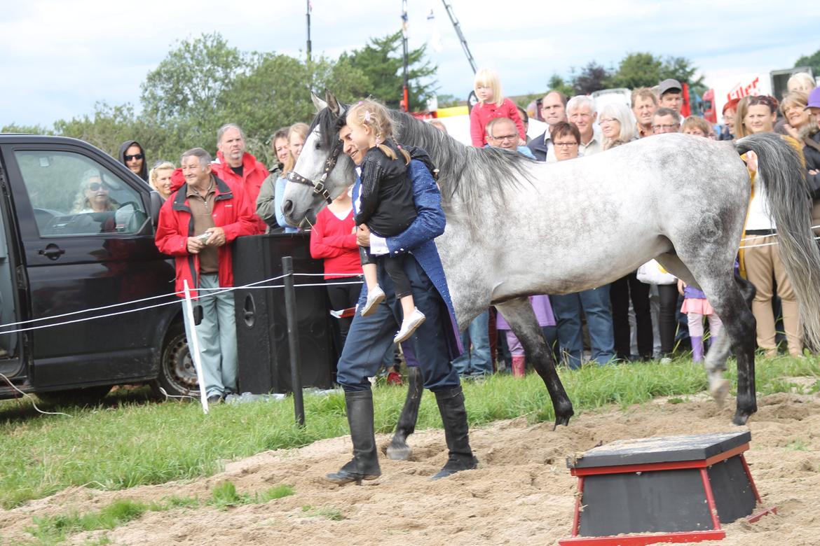 Ørbæk Marked The Schumanns billede 83