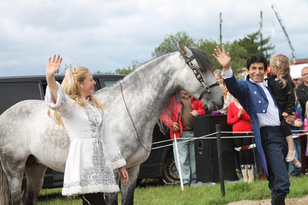 Ørbæk Marked The Schumanns - Araberen og Andalusierne er hingste, Barockpintoen er en vallak :) billede 85