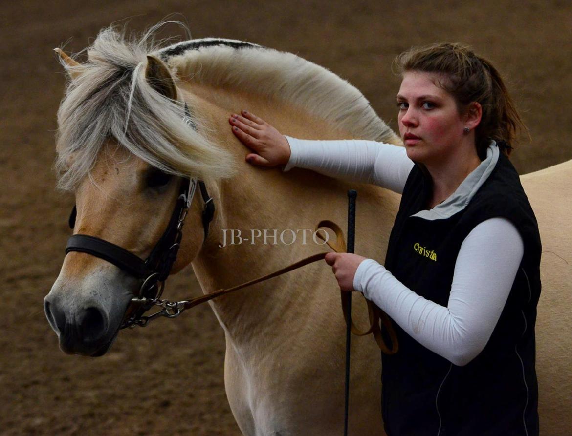Fjordheste kåring på Ågerupgård - En af de andre 3 års hopper. billede 10
