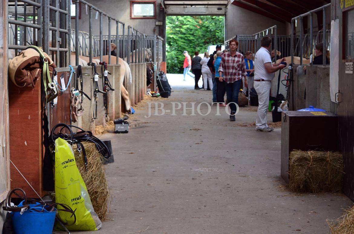Fjordheste kåring på Ågerupgård - Iben Strødam med ejer billede 17