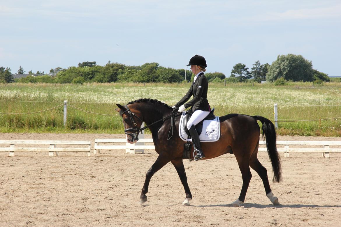 Stævner<3 - 13-7-2012 startede Lb2 og La1 på Slettebjerggård (SRF) billede 27