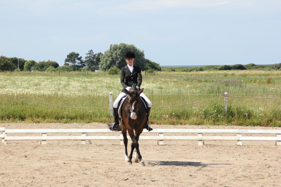 Stævner<3 - 13-7-2012 startede Lb2 og La1 på Slettebjerggård (SRF) billede 28