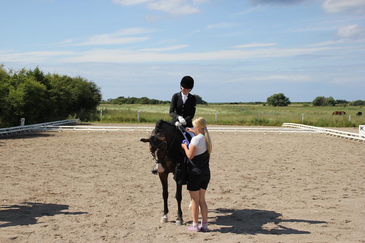 Stævner<3 - 13-7-2012 startede Lb2 og La1 på Slettebjerggård (SRF)
- 2.plads i Lb2en billede 29