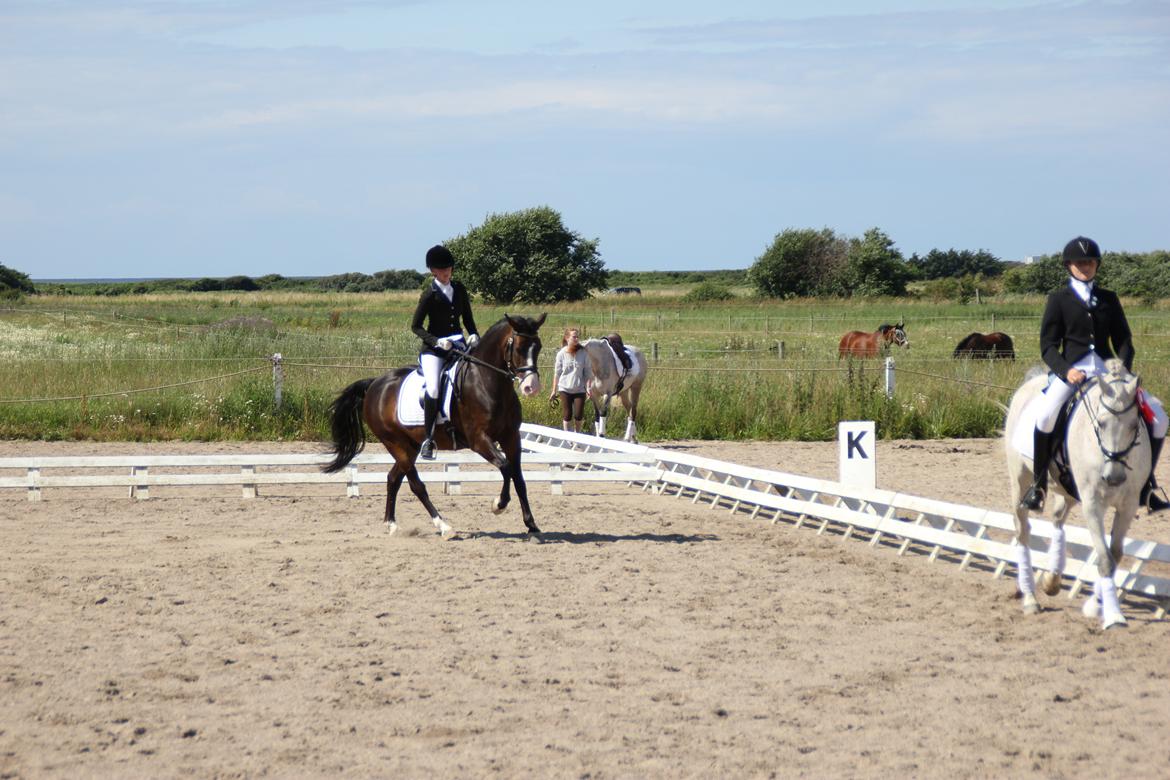 Stævner<3 - 13-7-2012 startede Lb2 og La1 på Slettebjerggård (SRF)
- Æresrunde, Timon i fuld fir'spring ;-) billede 30