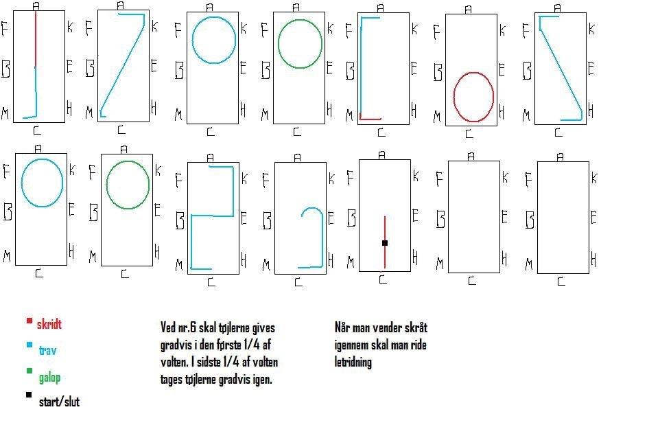 dressurprogrammer - LC1 billede 1