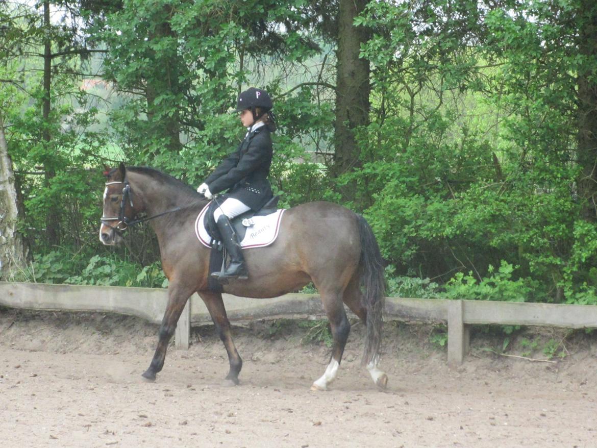 fjeldsted rideklub. billede 2