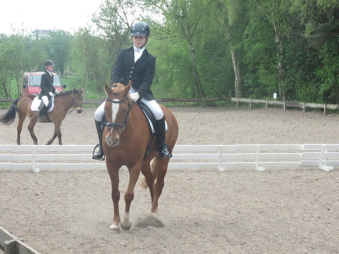 fjeldsted rideklub. - lise og foxy billede 4