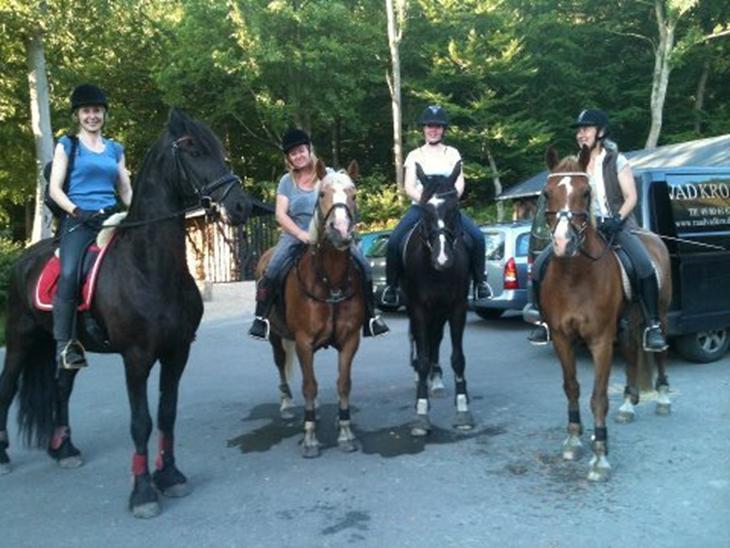 {{currentPhoto.altText}} billede {{currentPhoto.number}}