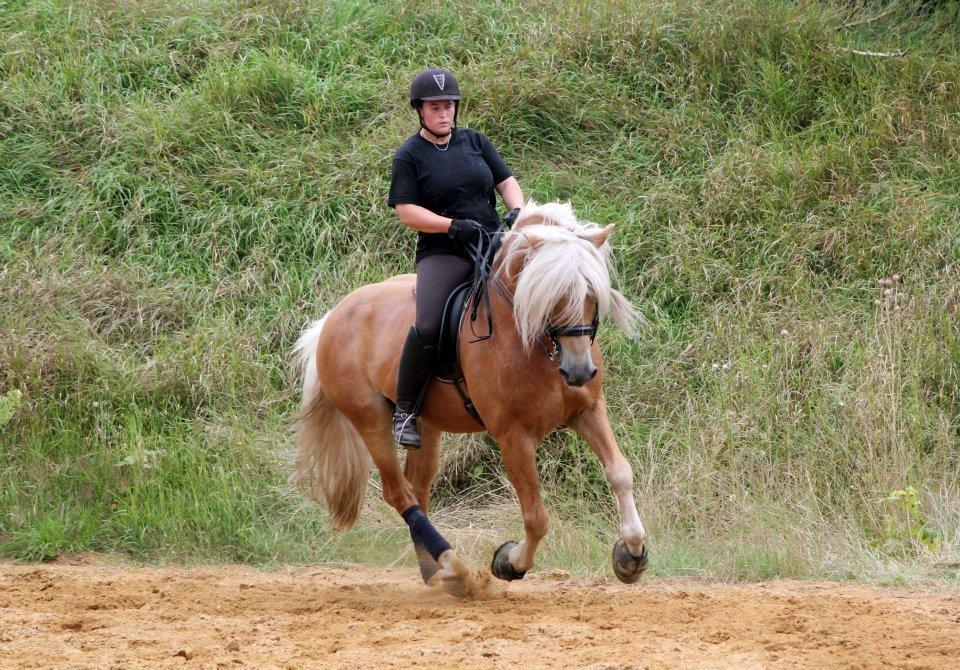 Kløv´s Woodo billede 1