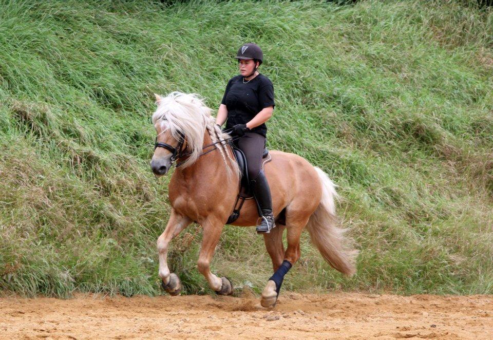 Kløv´s Woodo billede 2