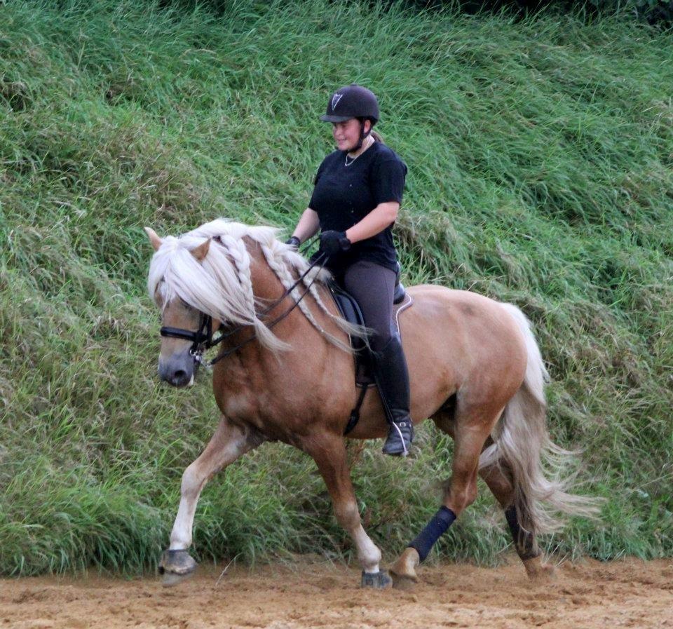 Kløv´s Woodo billede 3