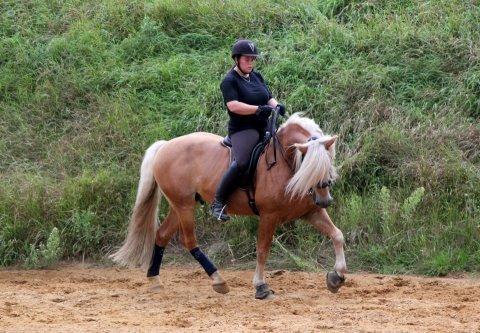 Kløv´s Woodo billede 4