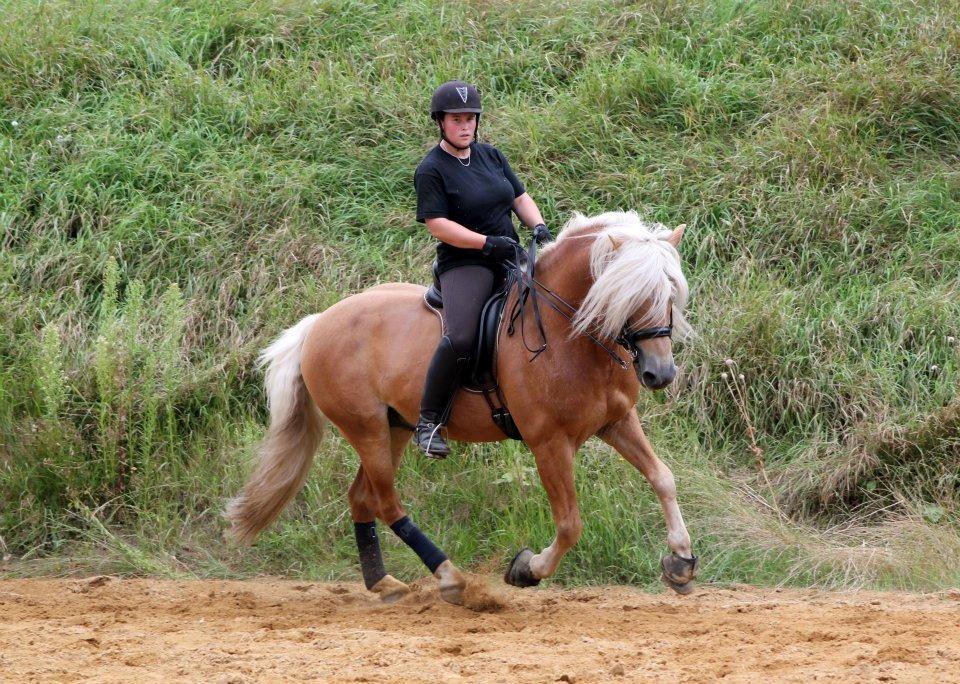 Kløv´s Woodo billede 5