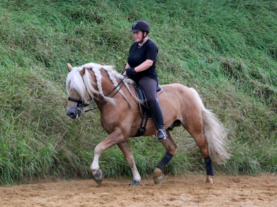 Kløv´s Woodo billede 6