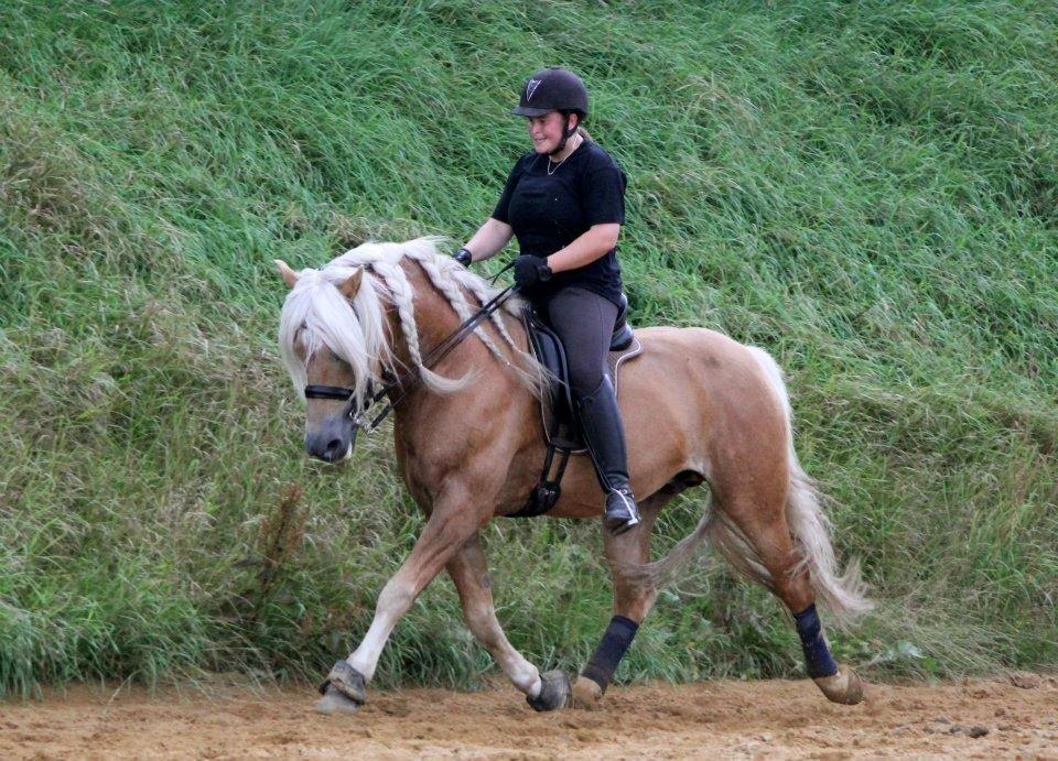 Kløv´s Woodo billede 7