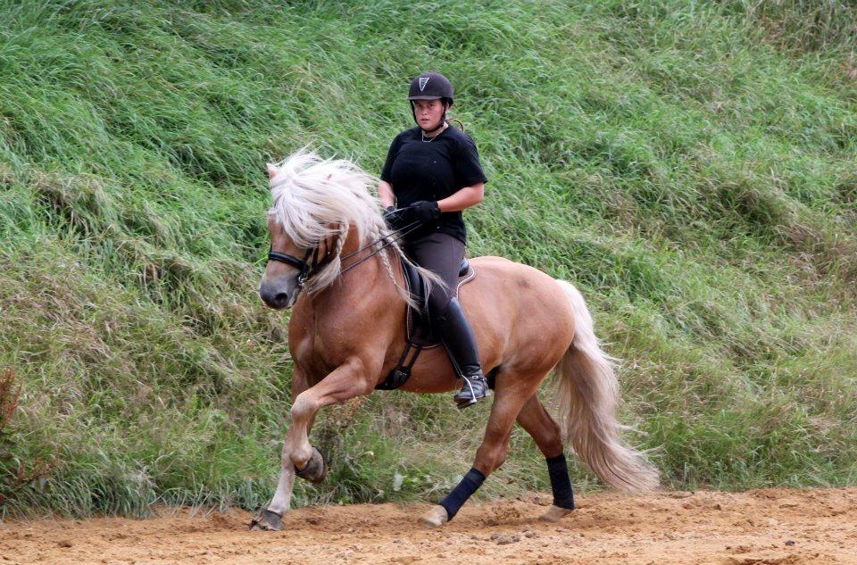 Kløv´s Woodo billede 8