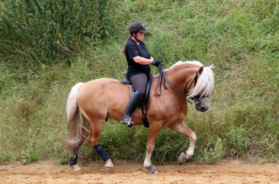 Kløv´s Woodo billede 9