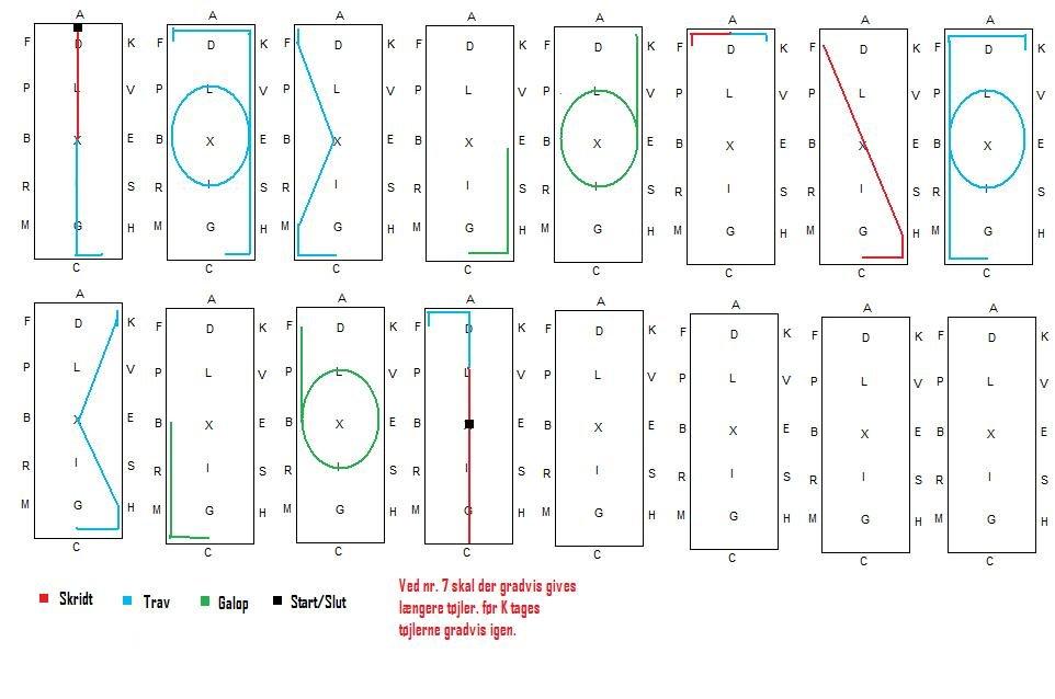 dressurprogrammer - LC2 A billede 4