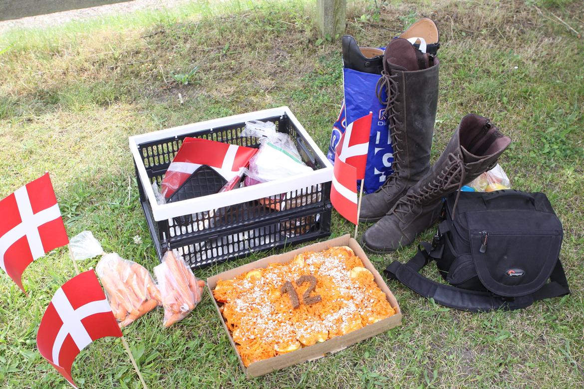 Jessica's 12 års fødselsdag :-)  - Jess' kage og gave :-)  billede 4