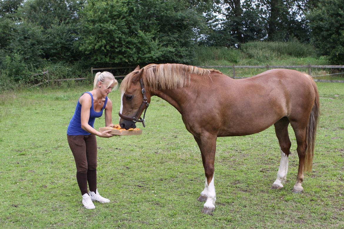 Jessica's 12 års fødselsdag :-)  - Jess er gal fordi Labell kigger på :-P billede 13