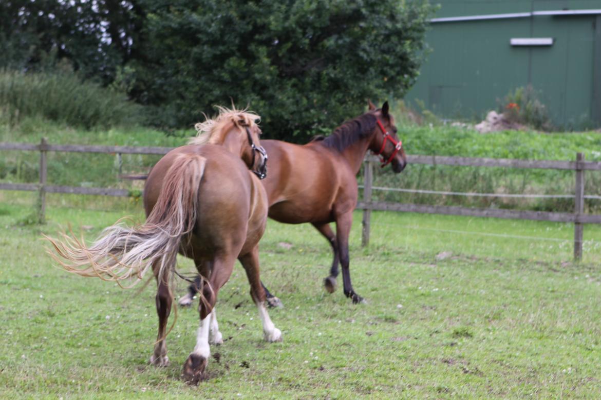 Jessica's 12 års fødselsdag :-)  - -.- :-P billede 18