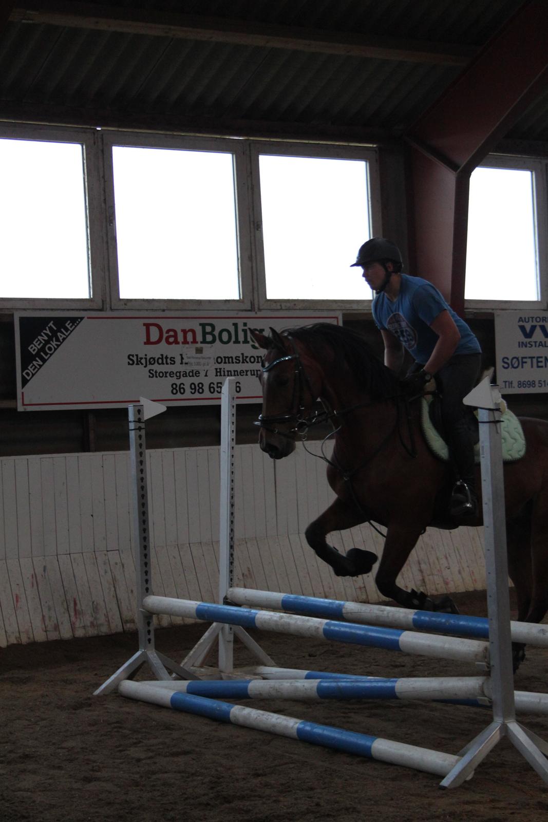 Aprillo - spring og dressur billede 1