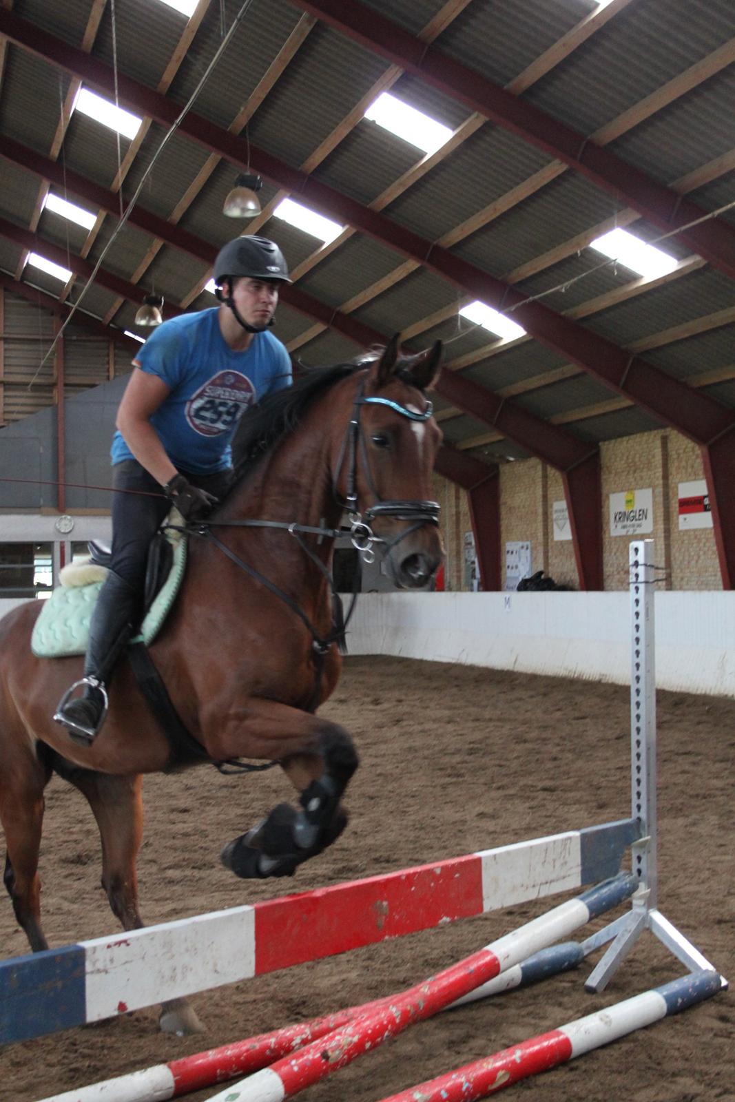 Aprillo - spring og dressur billede 3