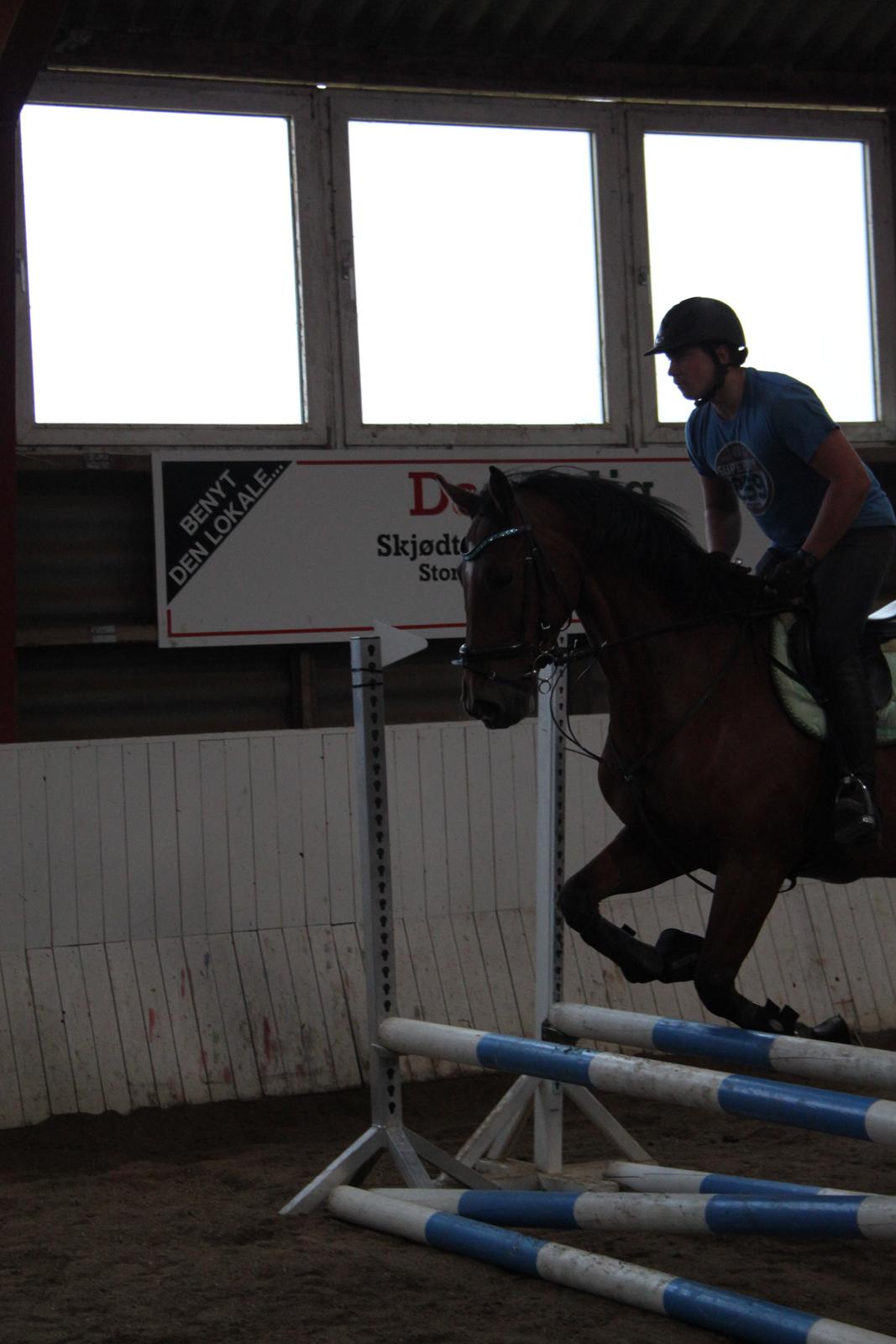 Aprillo - spring og dressur billede 4