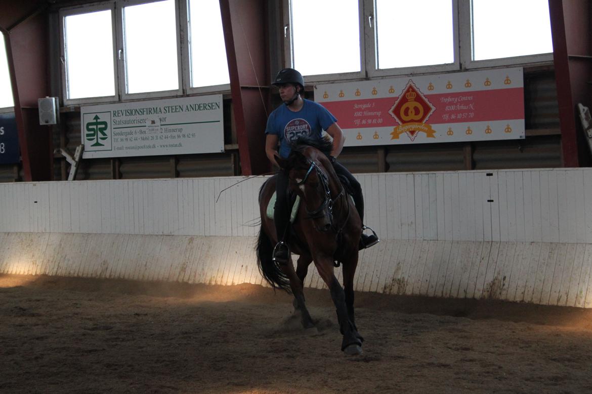 Aprillo - spring og dressur billede 5