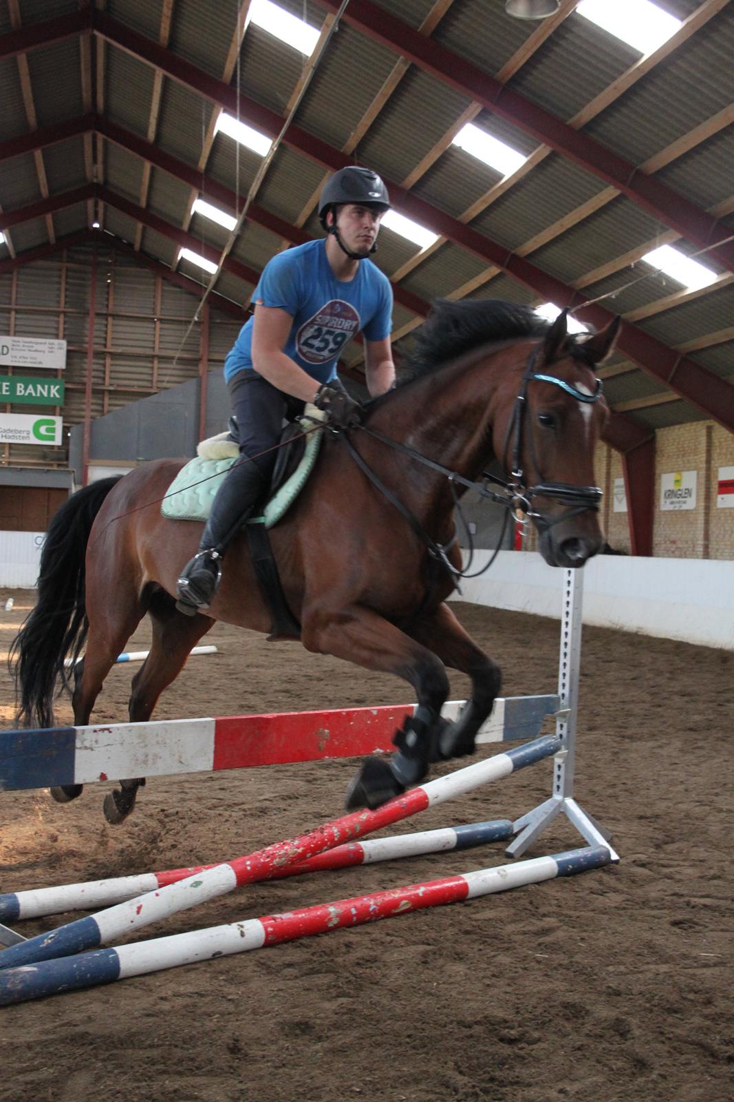 Aprillo - spring og dressur billede 7