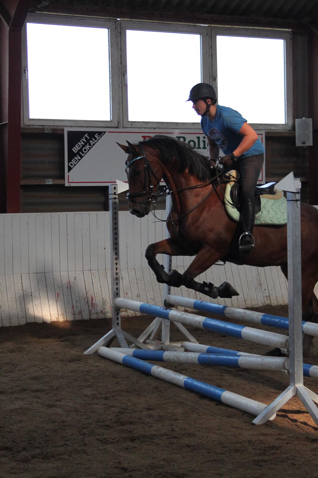 Aprillo - spring og dressur billede 8