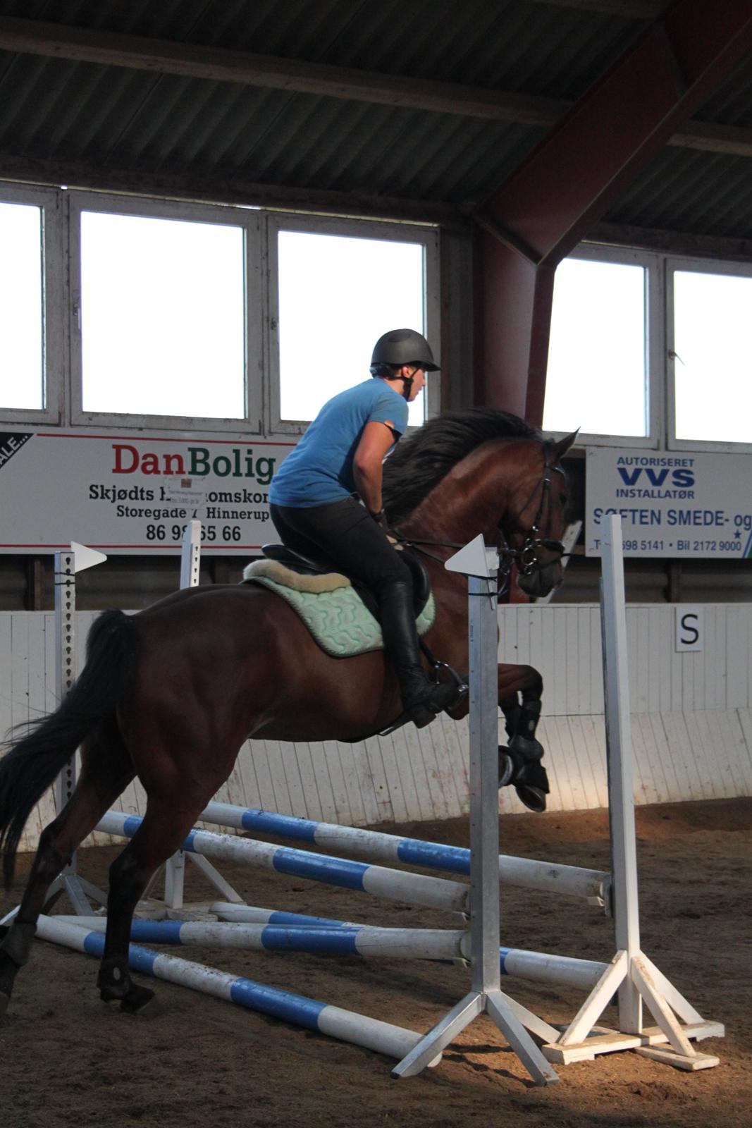 Aprillo - spring og dressur billede 9