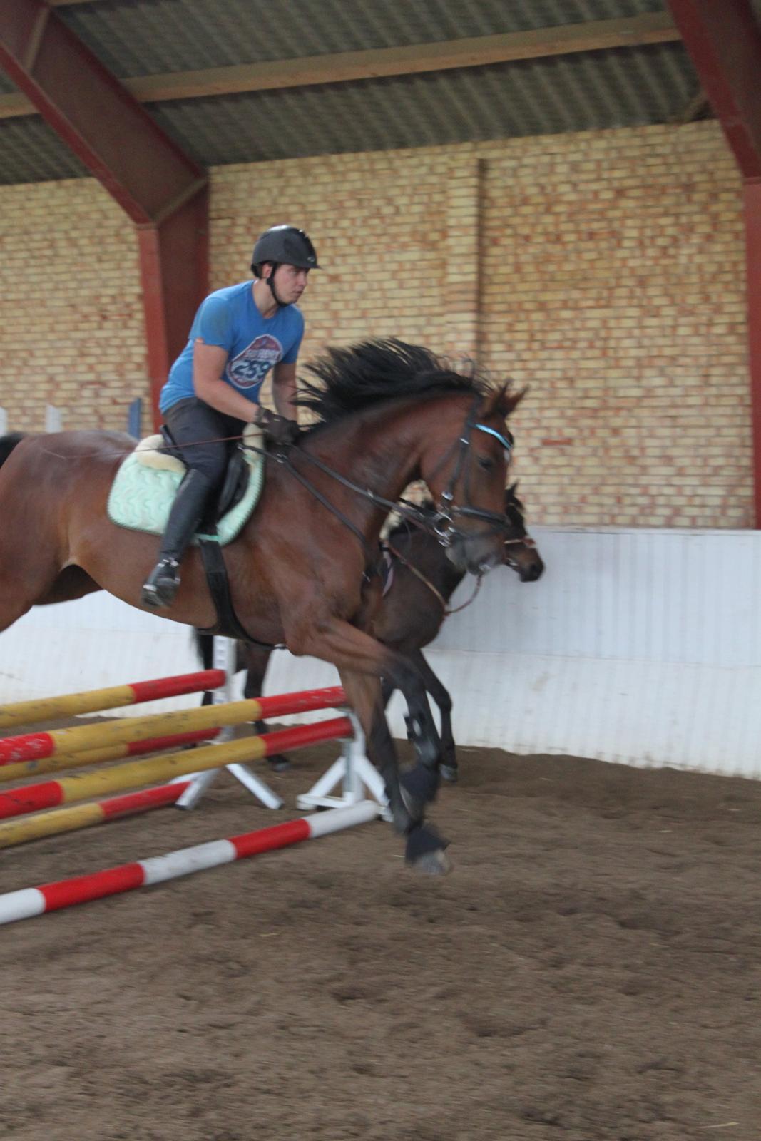 Aprillo - spring og dressur billede 10